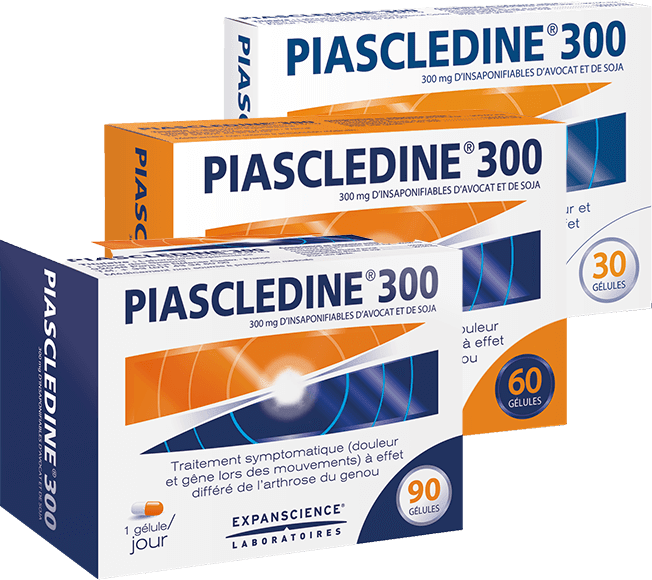 Boites de Piasclédine 300