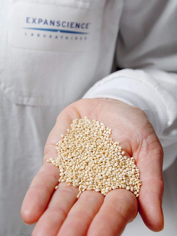 Hand of a researcher containing seeds